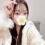 ヒメ日記 2025/12/24 03:11 投稿 こあら LEVEL1