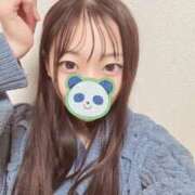 ヒメ日記 2026/01/15 07:10 投稿 こあら LEVEL1