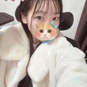 ヒメ日記 2026/01/21 03:51 投稿 こあら LEVEL1