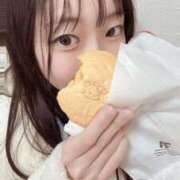 ヒメ日記 2026/01/22 01:11 投稿 こあら LEVEL1