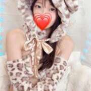 ヒメ日記 2026/02/03 19:11 投稿 こあら LEVEL1