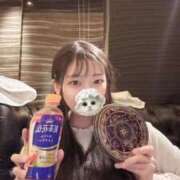 ヒメ日記 2026/02/04 03:32 投稿 こあら LEVEL1