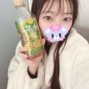 ヒメ日記 2026/02/05 02:02 投稿 こあら LEVEL1