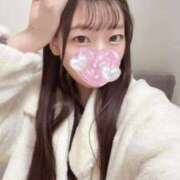 ヒメ日記 2026/02/17 19:23 投稿 こあら LEVEL1