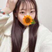 ヒメ日記 2026/02/18 07:21 投稿 こあら LEVEL1