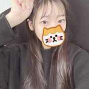 ヒメ日記 2026/02/19 00:31 投稿 こあら LEVEL1