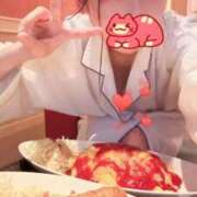 ヒメ日記 2026/02/19 07:41 投稿 こあら LEVEL1