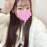 ヒメ日記 2026/02/19 19:11 投稿 こあら LEVEL1