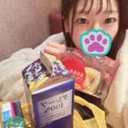 ヒメ日記 2026/02/20 07:21 投稿 こあら LEVEL1