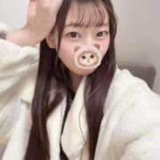 ヒメ日記 2026/02/21 15:01 投稿 こあら LEVEL1