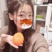 ヒメ日記 2026/02/25 02:01 投稿 こあら LEVEL1