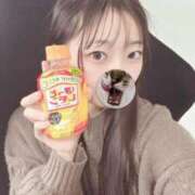 ヒメ日記 2026/02/25 04:01 投稿 こあら LEVEL1