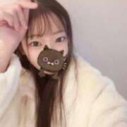 ヒメ日記 2026/02/27 11:21 投稿 こあら LEVEL1