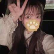 ヒメ日記 2026/03/02 06:21 投稿 こあら LEVEL1