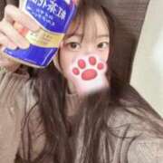 ヒメ日記 2026/03/03 02:01 投稿 こあら LEVEL1