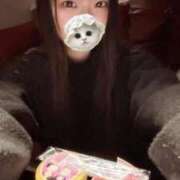 ヒメ日記 2026/03/04 03:28 投稿 こあら LEVEL1