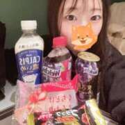 ヒメ日記 2026/03/05 00:31 投稿 こあら LEVEL1