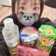 ヒメ日記 2026/03/19 00:01 投稿 こあら LEVEL1