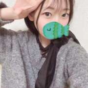 ヒメ日記 2026/03/26 15:01 投稿 こあら LEVEL1