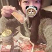 ヒメ日記 2026/03/26 15:08 投稿 こあら LEVEL1