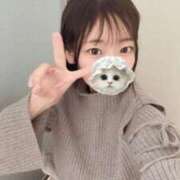 ヒメ日記 2026/04/05 00:21 投稿 こあら LEVEL1