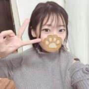 ヒメ日記 2026/04/08 00:17 投稿 こあら LEVEL1