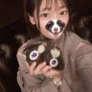 ヒメ日記 2026/04/08 03:22 投稿 こあら LEVEL1