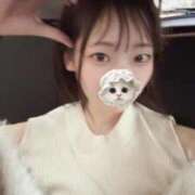 ヒメ日記 2026/04/10 08:31 投稿 こあら LEVEL1