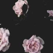 ヒメ日記 2025/09/29 23:09 投稿 あず 千葉はじめてのエステ（ユメオト）