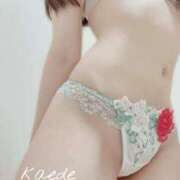 ヒメ日記 2025/07/14 13:08 投稿 カエデ OPELA（オペラ）