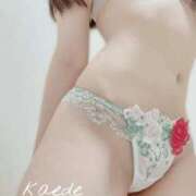 ヒメ日記 2025/11/14 14:18 投稿 カエデ OPELA（オペラ）