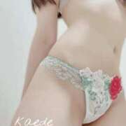 ヒメ日記 2026/01/30 15:08 投稿 カエデ OPELA（オペラ）