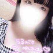 ヒメ日記 2025/06/07 02:22 投稿 うる ちゃんこ葛西浦安店