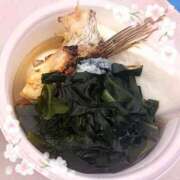 ヒメ日記 2026/03/28 00:32 投稿 ねね ちゃんこ葛西浦安店