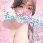 ヒメ日記 2026/05/16 21:12 投稿 ねね ちゃんこ葛西浦安店