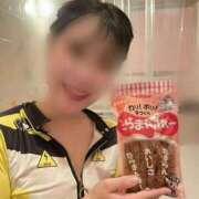 ヒメ日記 2025/08/23 03:09 投稿 いぶき アネックスジャパン