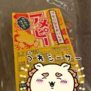 ヒメ日記 2025/08/27 01:19 投稿 いぶき アネックスジャパン