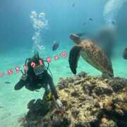 ヒメ日記 2025/08/28 20:39 投稿 いぶき アネックスジャパン