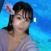 ヒメ日記 2026/01/16 17:29 投稿 いぶき アネックスジャパン