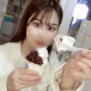 ヒメ日記 2026/01/24 12:59 投稿 いぶき アネックスジャパン