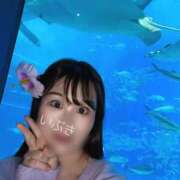 ヒメ日記 2026/02/21 16:19 投稿 いぶき アネックスジャパン