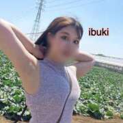 ヒメ日記 2026/03/20 13:09 投稿 いぶき アネックスジャパン