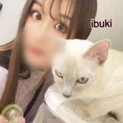 ヒメ日記 2026/04/29 11:49 投稿 いぶき アネックスジャパン