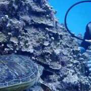 ヒメ日記 2026/05/08 13:19 投稿 いぶき アネックスジャパン