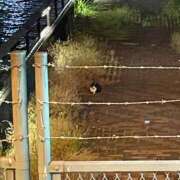 ヒメ日記 2025/07/16 11:52 投稿 れいは 大阪フェチクラブ