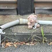 ヒメ日記 2025/09/13 12:33 投稿 れいは 大阪フェチクラブ