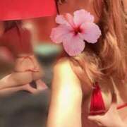 ヒメ日記 2025/07/15 18:42 投稿 アラン バニーコレクション秋田店