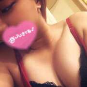 ヒメ日記 2025/09/14 15:18 投稿 アラン バニーコレクション秋田店