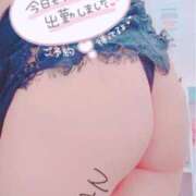 ヒメ日記 2025/10/09 07:33 投稿 アラン バニーコレクション秋田店