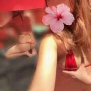 ヒメ日記 2025/10/11 08:09 投稿 アラン バニーコレクション秋田店